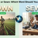 Sown vs Sewn comparison showing planting seeds and sewing fabric