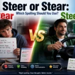 Steer or Stear: which spelling you should choose