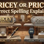 Pricey or pricy spelling comparison