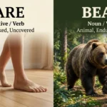 Bare or Bear: difference between the two homophones with examples